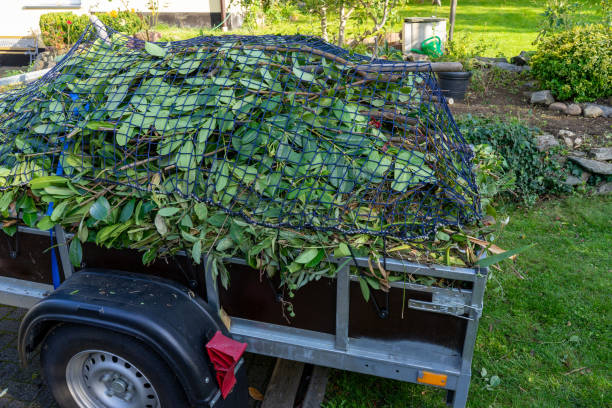 Best Hoarding Cleanup  in Eatonville, WA